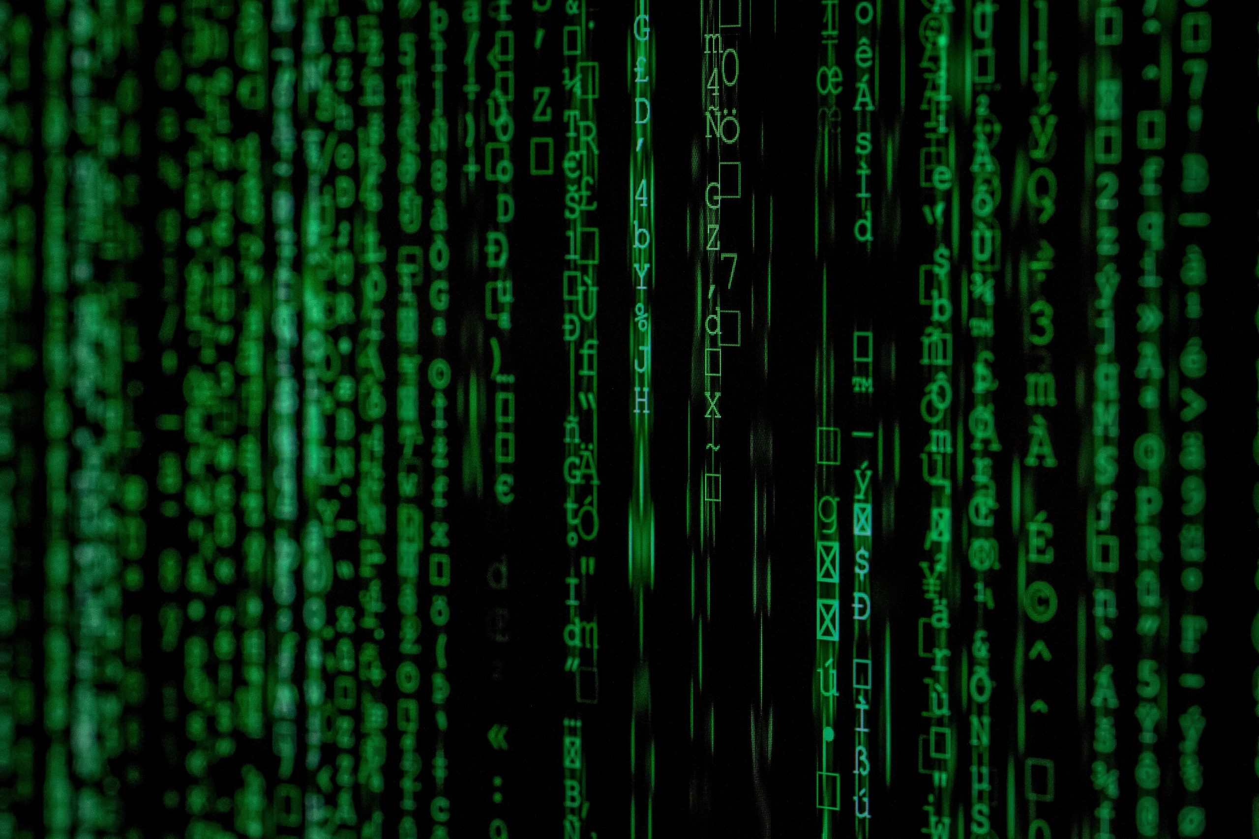 data analysis on laptop