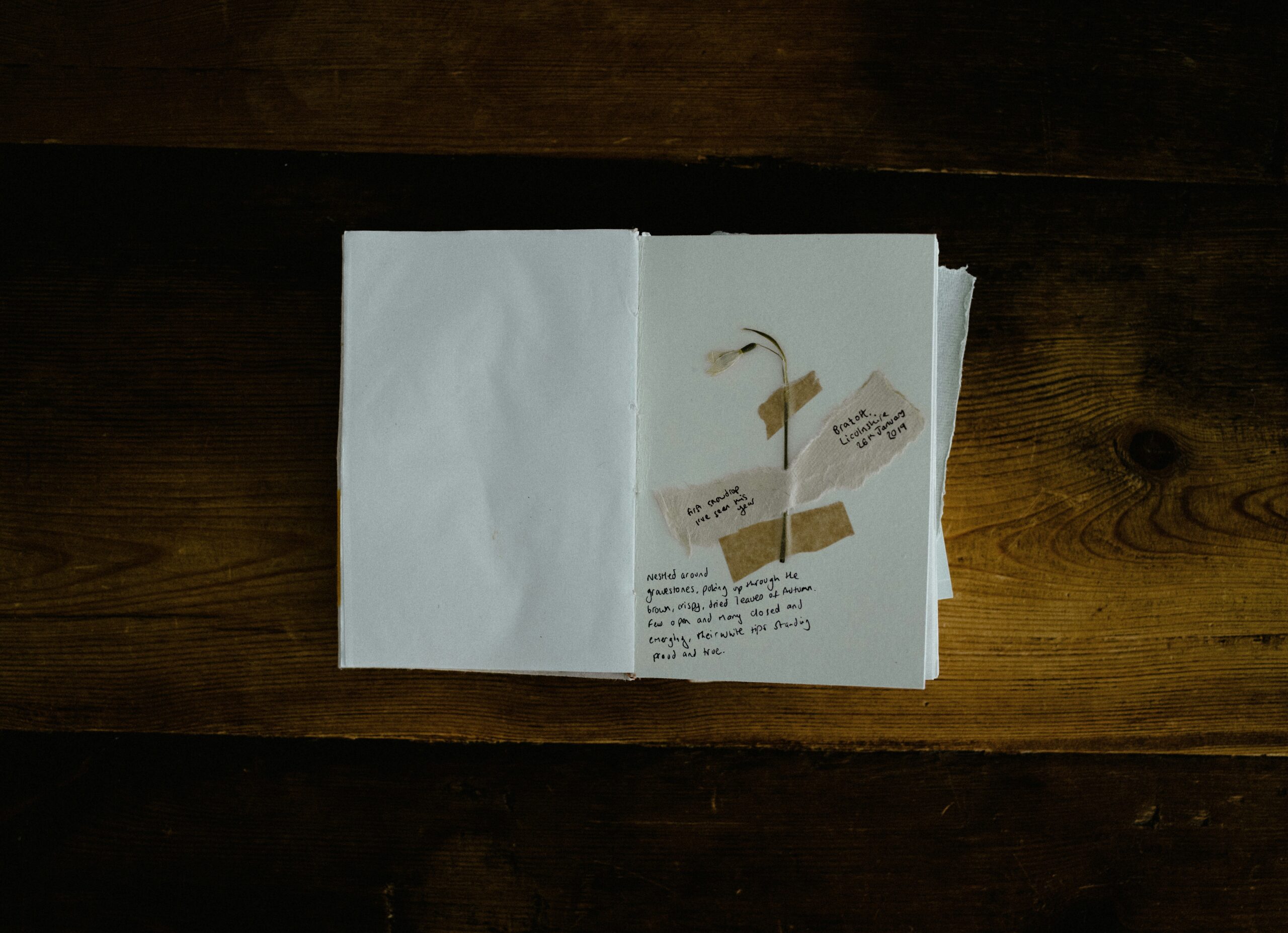 paper communication
