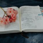 study planning