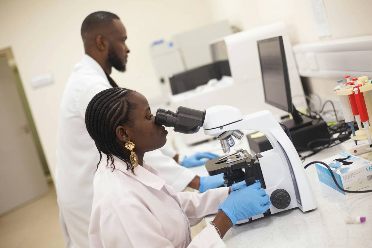 Study Smart Research How to Add: The Expert’s Guide to Smarter, Healthier Academic Workflows