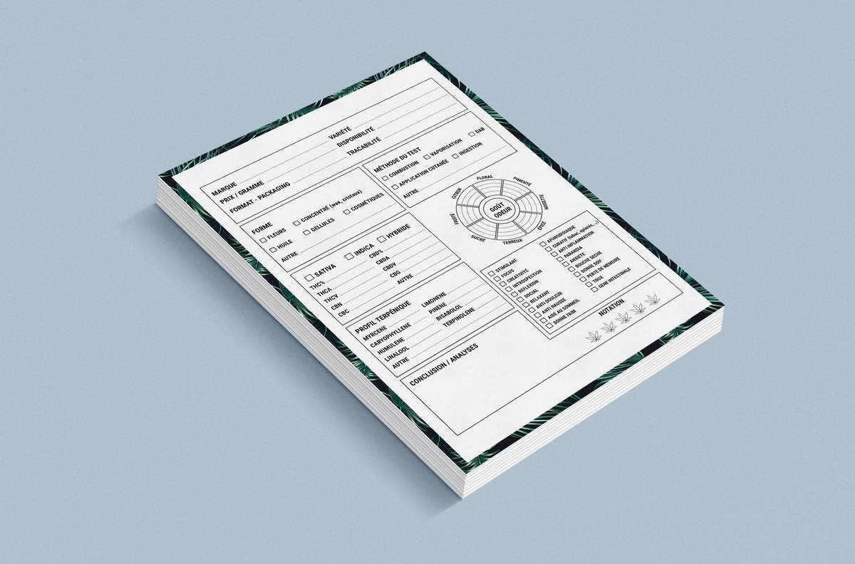 Build a Smarter Workflow with a Research Paper Organizer Notion Template